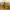 IMG_2825-ed_Easy-Resize.com_.jpg