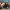 cq5dam.thumbnail.cropped.750.422 (1)
